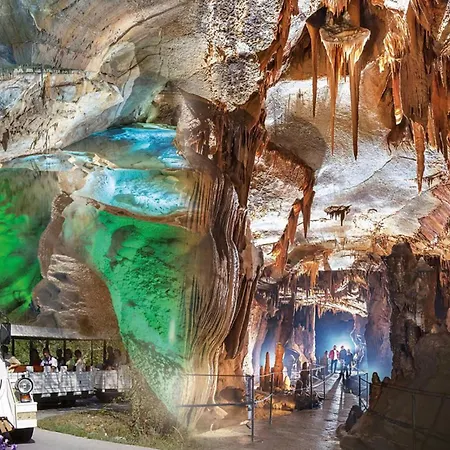 In Les Plans 펜션 Les Plans (Gard)